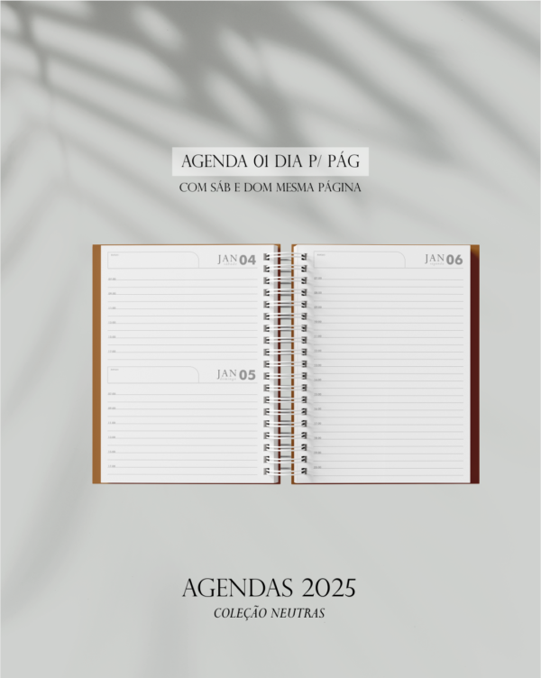 Agenda Cronograma do Poder - Image 2